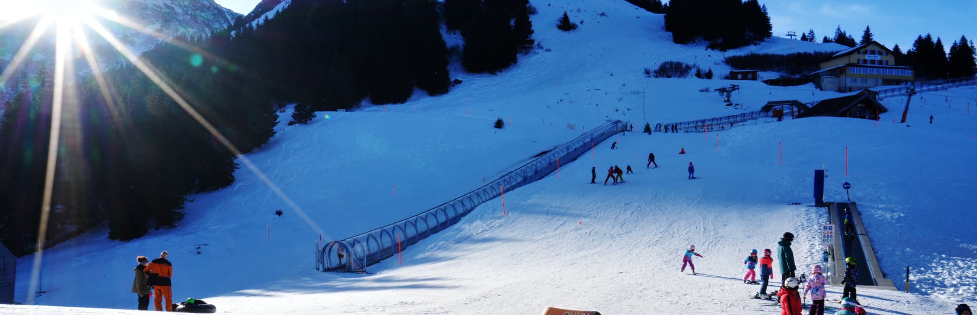 Picture of the author