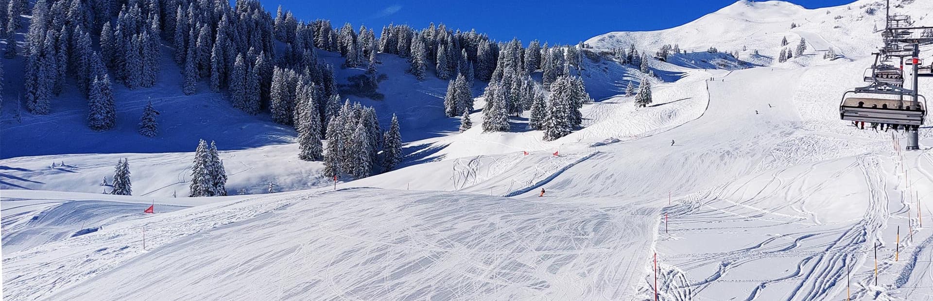 Start Carving 2h<br> Beginner & Fortgeschrittene